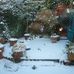 Frieda Savage - Facebook