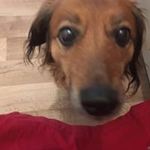 Frieda Schmidt - @schmidt.frieda - Instagram