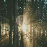 Frieda Schmidt - @breadcrumb_25 - Instagram