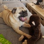 Frieda Schmitt - @frieda_schmitt_42 - Instagram