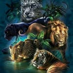 Frieda Schubert - @frieda_schubert_99 - Instagram
