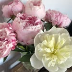 friedasnowlove - @friedasnowlove - Instagram
