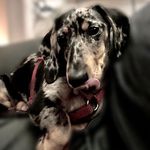 Frieda - @friedasteinhart - Instagram