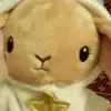 Frida Strauß - @fridastrauss - TikTok