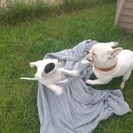 Frieda Struckmeyer - @frieda_die_taube_nuss - Instagram