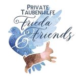 @taubenhilfe_frieda - Instagram