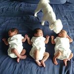 Friday and his master triplets - @fridayandmastertriplets - Instagram