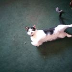 Frieda Tyson - @friedatyson717 - Instagram