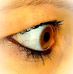 Frieda Vogt - Facebook