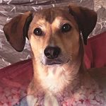 Frieda - @walli.sfrieda - Instagram