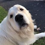 @friedaward122 - Instagram