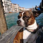 Frieda Willi - @frieda.willi.5 - Instagram