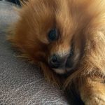 Frieda Willms - @willmsfrieda64 - Instagram