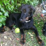 frieda wilson - @friedawilson5 - Instagram