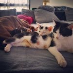 SALLY, WILSON, BOUNTY, FRIEDA - @sally_wilson_bounty_frieda - Instagram