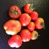 friscojones806 - @friscojones806 - TikTok