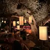 Fritz.werd - @fritz.werd - TikTok