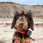 Fritzi Freitag - @fritzi_freitag - Instagram
