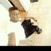 Fritz Gerald Germain - Facebook