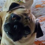 @gordonfritz - Instagram
