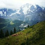 fritz graf - @fritz.graf98 - Instagram