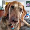 Fritz.Graf1492 - @fritz.graf1492 - TikTok