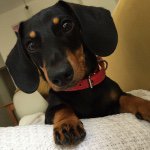 Snag Fritz Henry - @snag_fritz_henry - Instagram