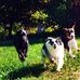 Fritz Hill - Facebook