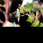 @fritz_hirsch - Instagram