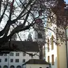 fritzhirschi242 - @fritzhirschi242 - TikTok