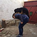 Fritz knoll - @fritz_in_the_house - Instagram