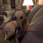 Douglas Howard-Fritz - @douglashowardfritz - Instagram