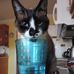 Fritz Howard Beck - Facebook