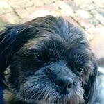 Fritz Jacobs - @ftz.jacobs - Instagram