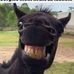 Fritz Klein - Facebook