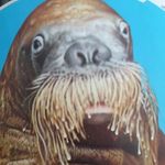 Fritz Klein - @fritz.klein.771 - Instagram