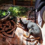Fritz Klein - @fritzklein802 - Instagram