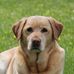 Fritz Knaebe - Facebook