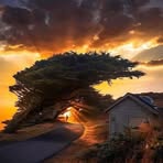 Fritz Koch - Facebook