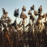 fritzlambi - @fritzlambi - Instagram