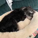 Fritz Moore - @fritz0319 - Instagram