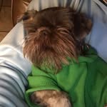 Fritz Moore - @itsfritzyo - Instagram