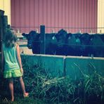 Morgan Fritz - Facebook