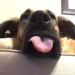 Fritz Page - @fritzfriedegg - Instagram