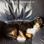 Fritz Page - @fritzpage98 - Instagram