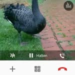 Fritz Paul - @fritzpaul6032 - Instagram
