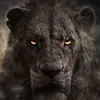 philippefritz975 - @philippefritz975 - TikTok