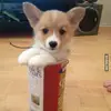 fritz.regis - @fritz.regis - TikTok