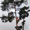 Fritz-Werner Sieber - @fritzsieber - TikTok