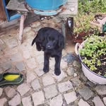 Fritz Speck - @fritz.ksv - Instagram